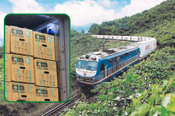 Dịch Vụ Xuất Khẩu Trái Cây Container Lạnh Đường Sắt Đi Trung Quốc